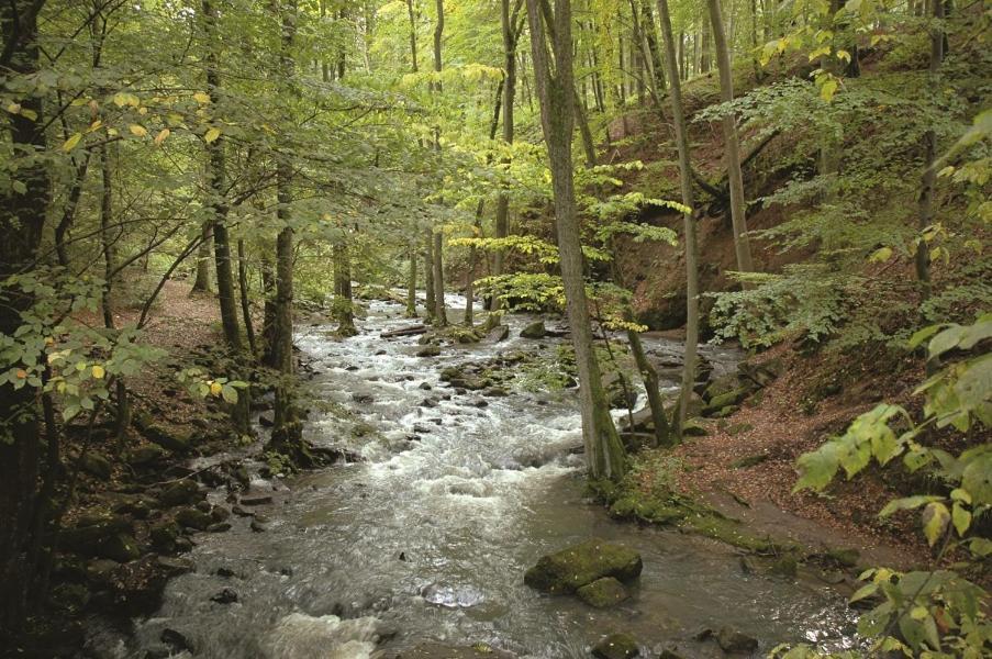 Fewo Hof Elbbachtal Westerburg  Bagian luar foto