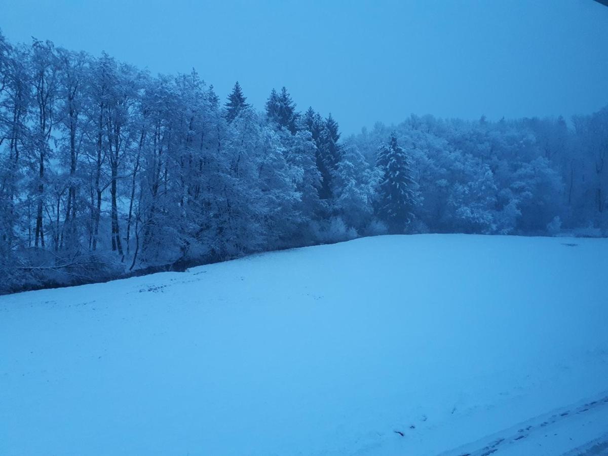 Fewo Hof Elbbachtal Westerburg  Bagian luar foto