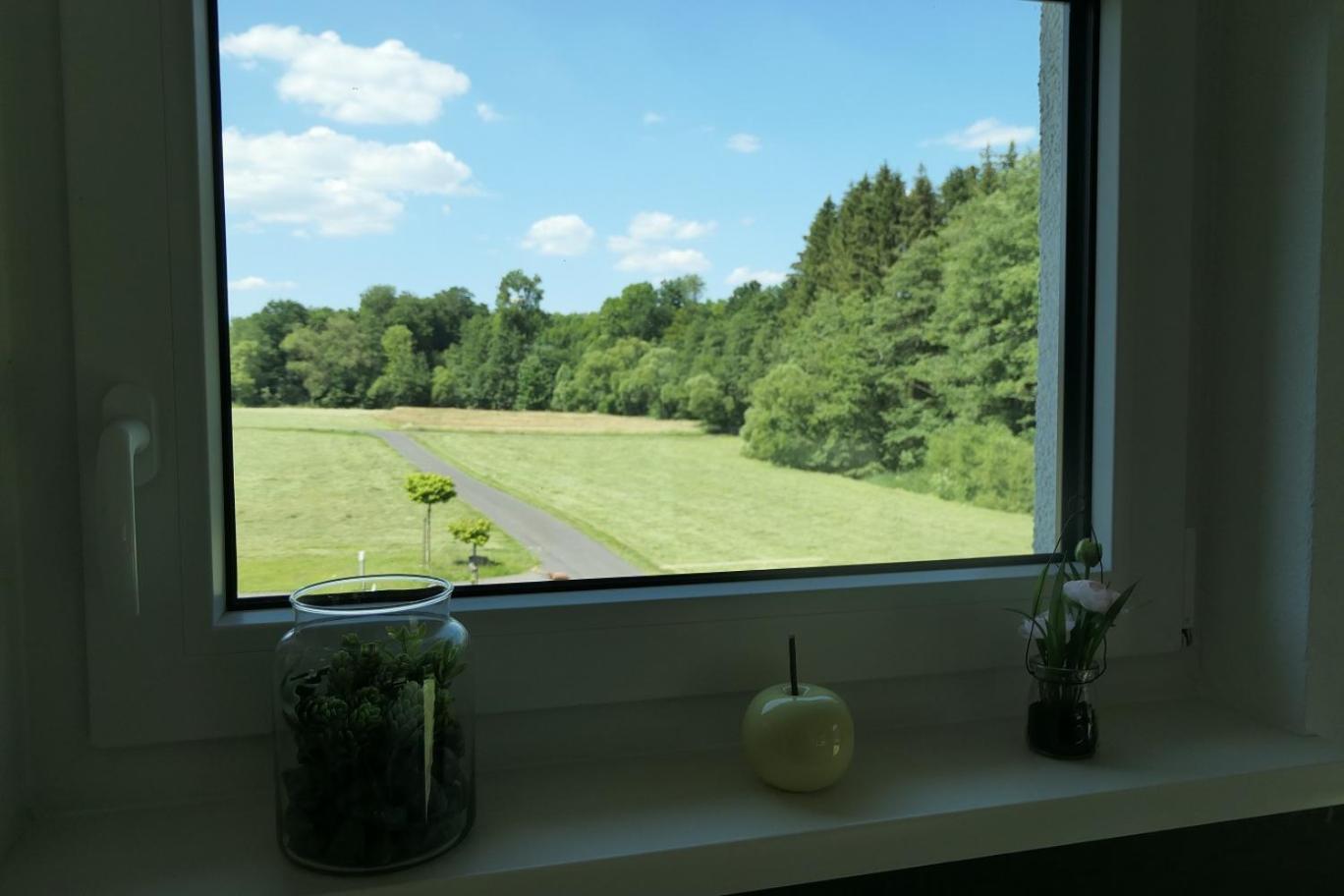 Fewo Hof Elbbachtal Westerburg  Ruang foto